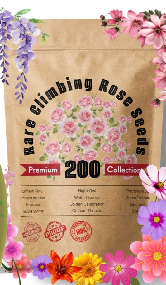 Twisora⢠Elegant Climbing Rose Flower Seeds